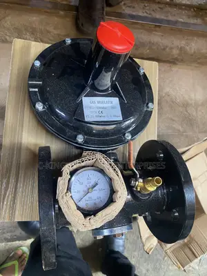 Industrial Gas Pressure Regulator
