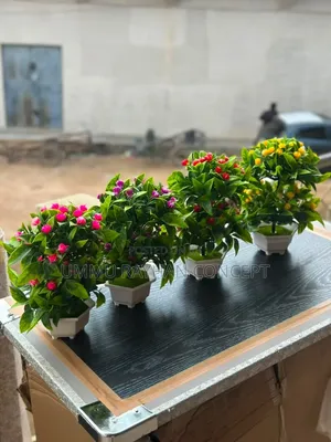Flower Decoration