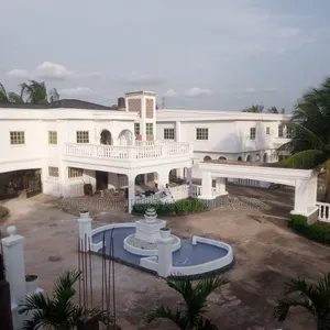 Professional Exterior and Interior Painters