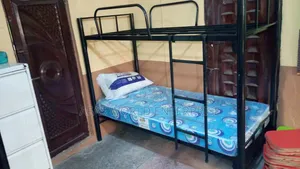 3 by 6 Bunk Bed