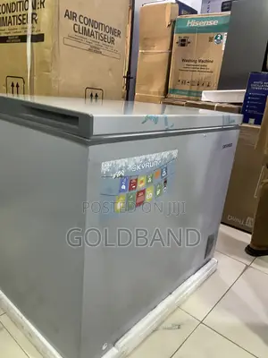Skyrun 260 Litres Deep Freezer for Grocery Stores and Shops