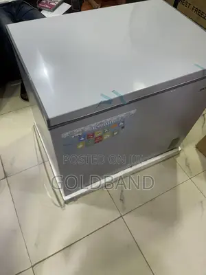 Skyrun 260L Deep Freezer for Meat, Fish and Frozen Produce