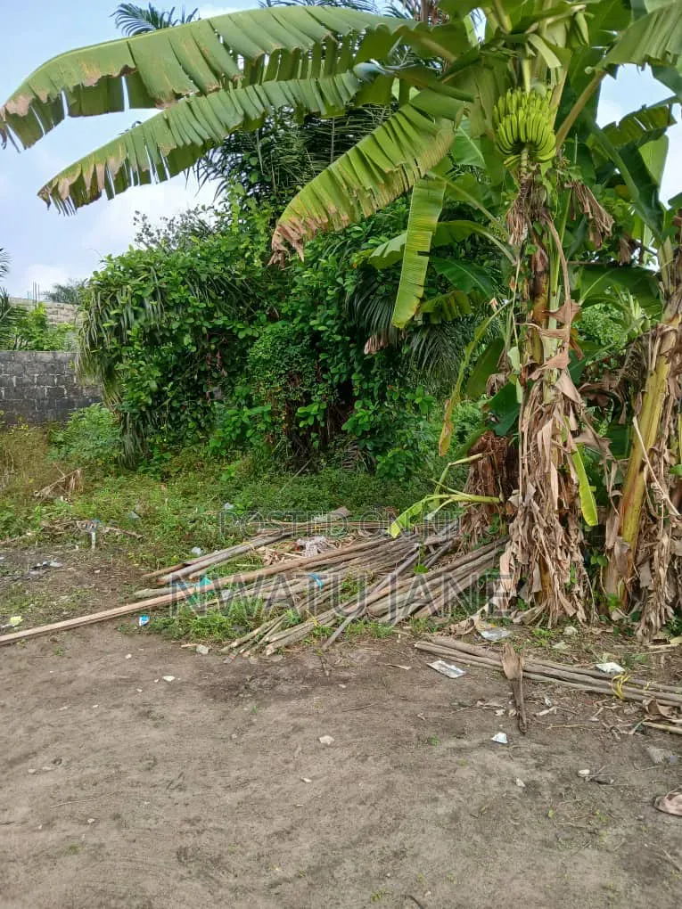 Full Plot of Land