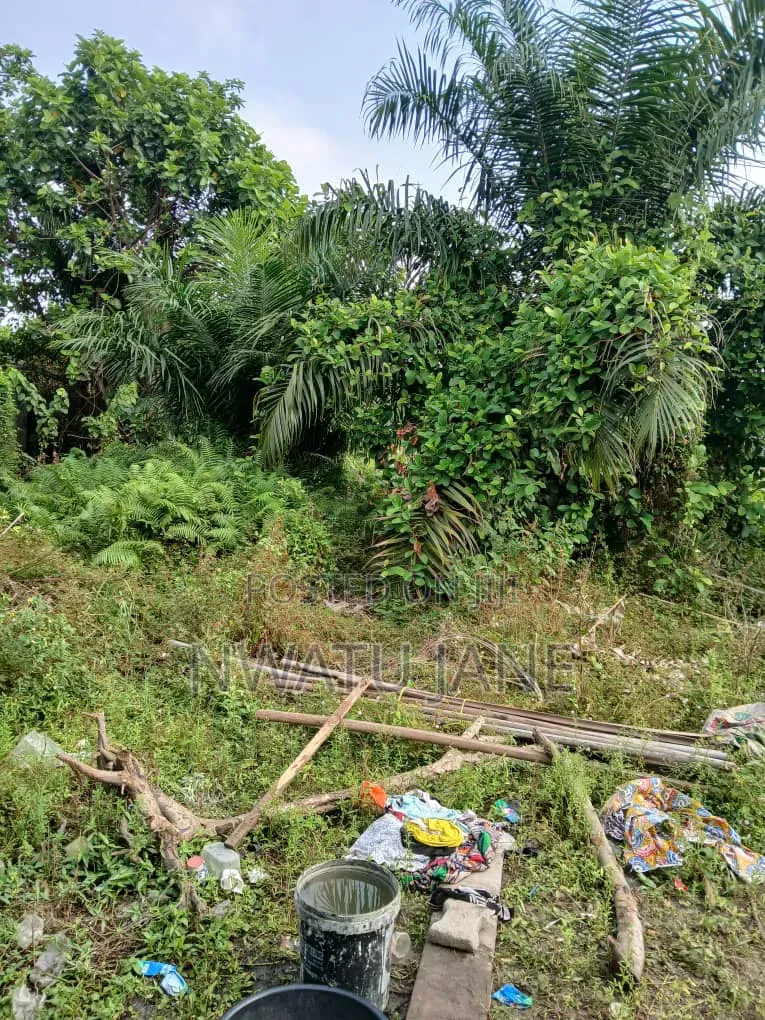 Full Plot of Land