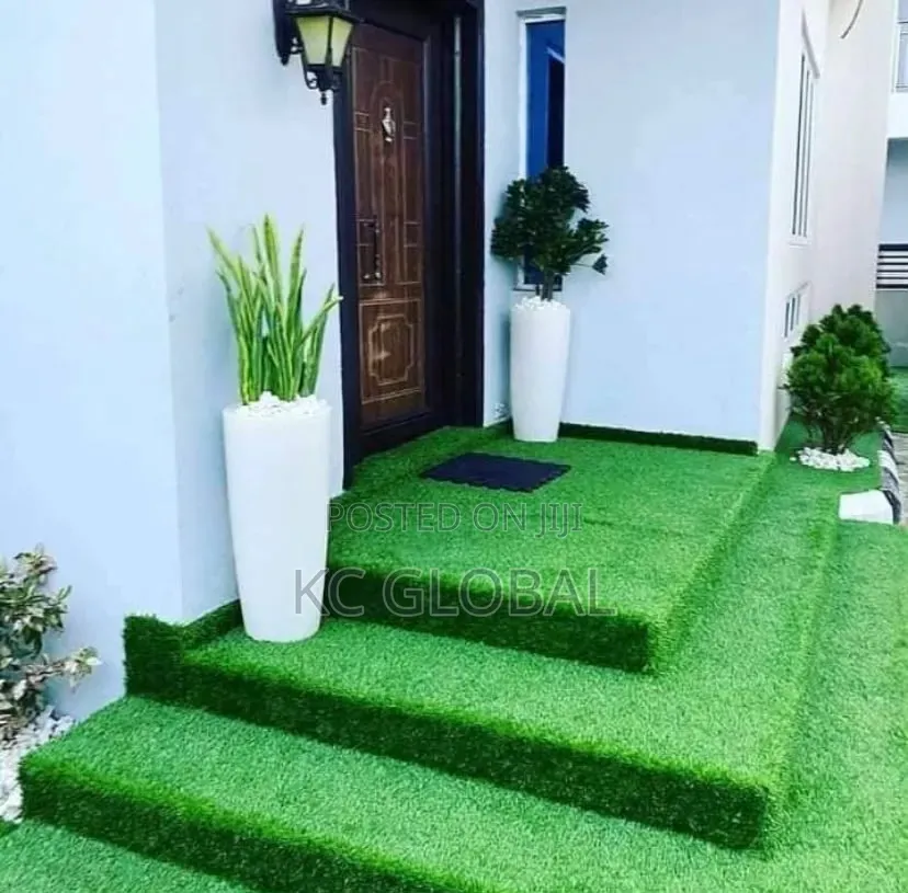Outdoor and Indoor Flower and Pot