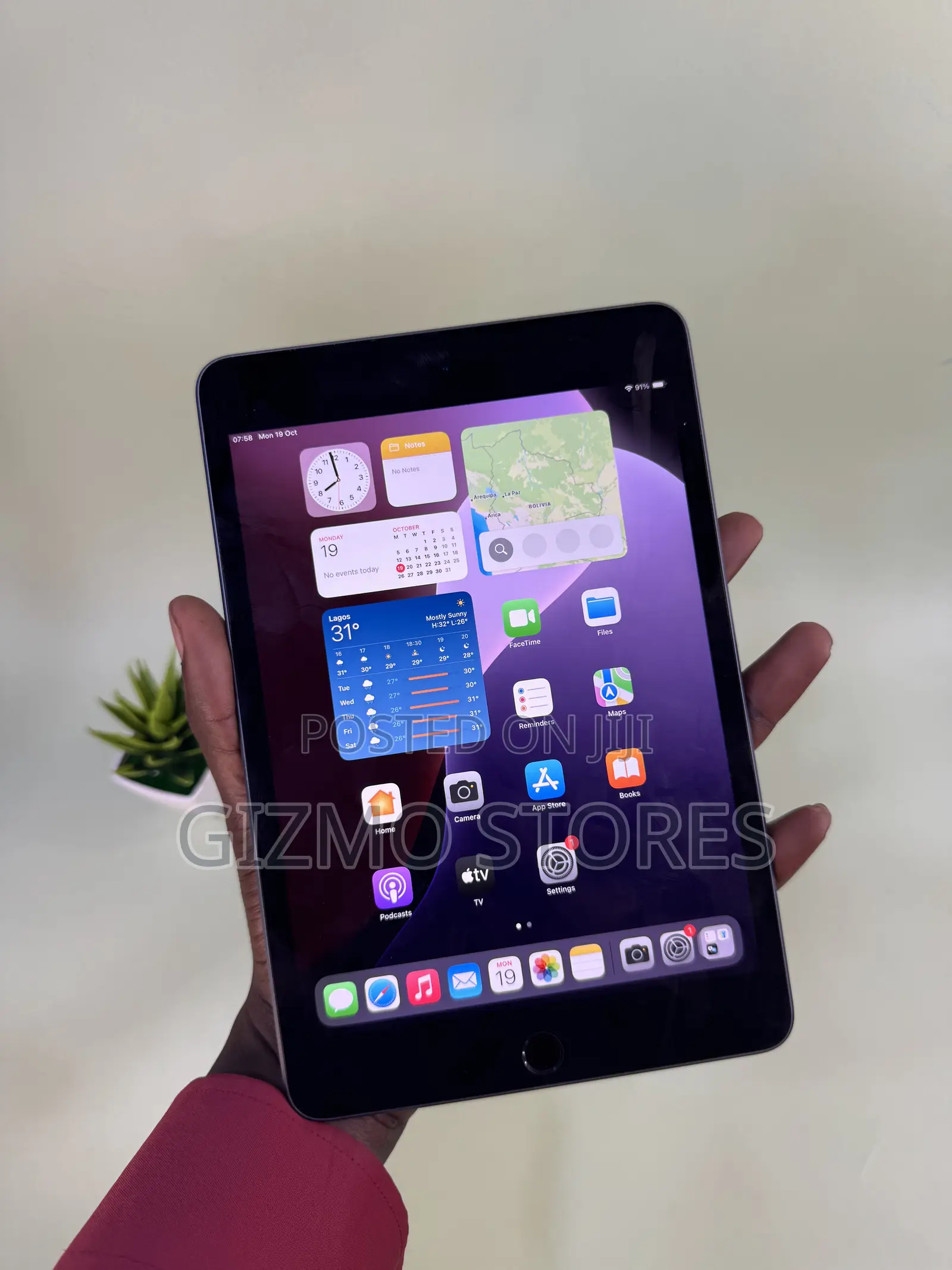 Apple iPad mini 5 (2019) 256 GB Gray