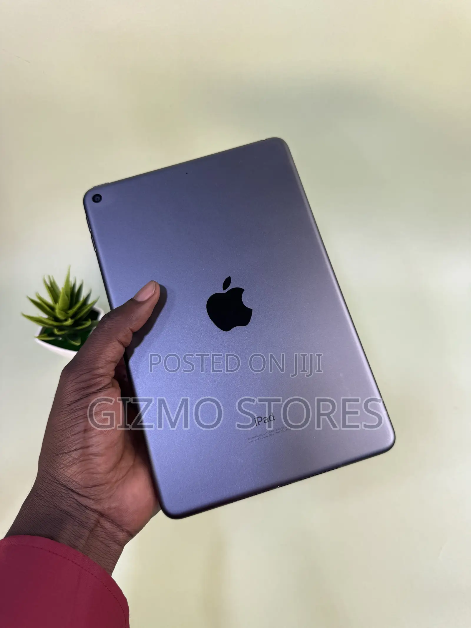 Apple iPad mini 5 (2019) 256 GB Gray