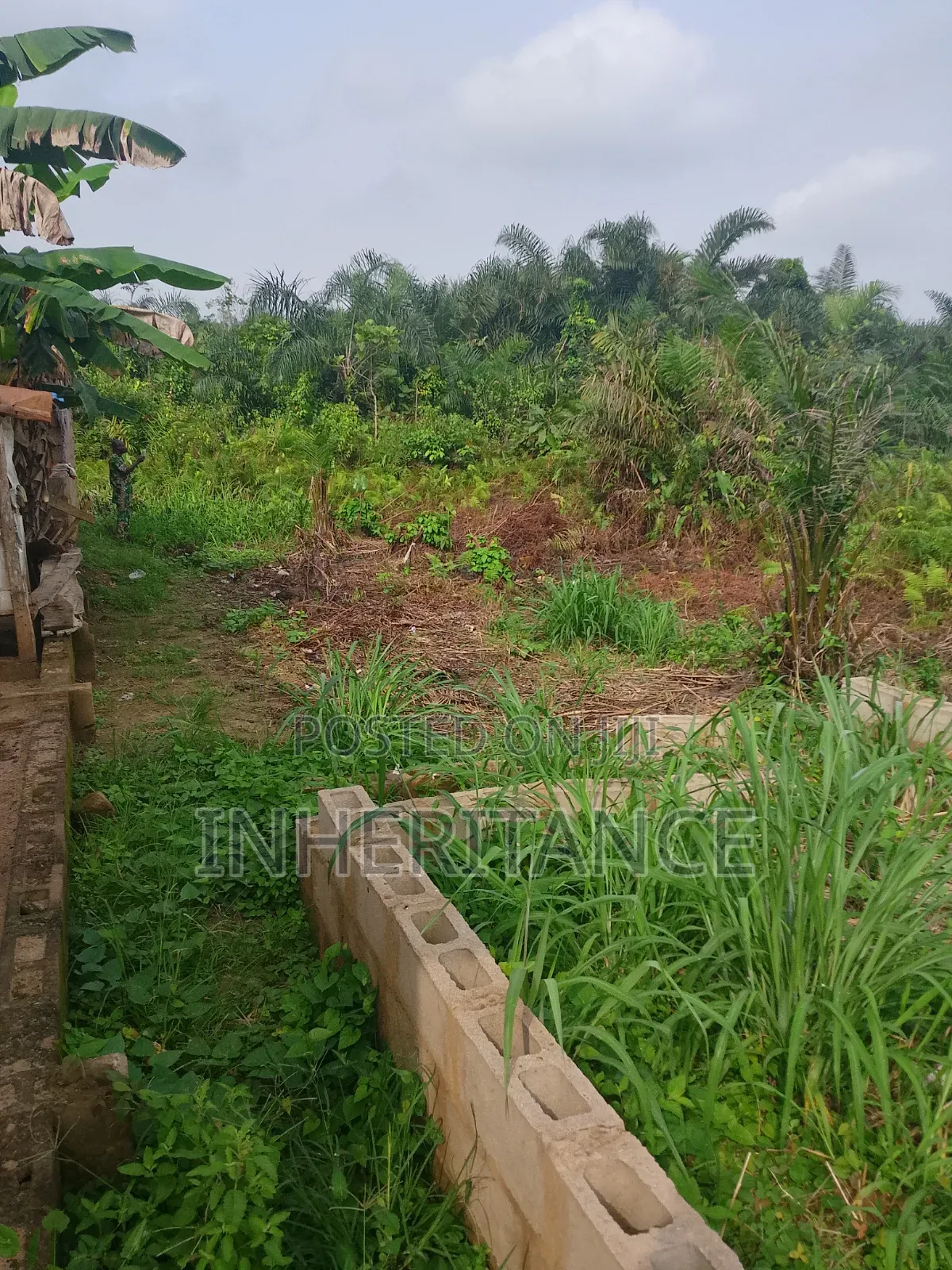 Half Plot of Land at Agric Imagbon Araromi