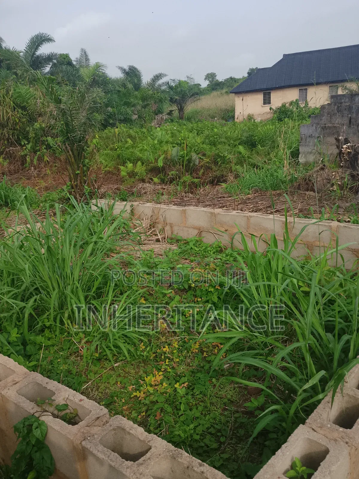 Half Plot of Land at Agric Imagbon Araromi