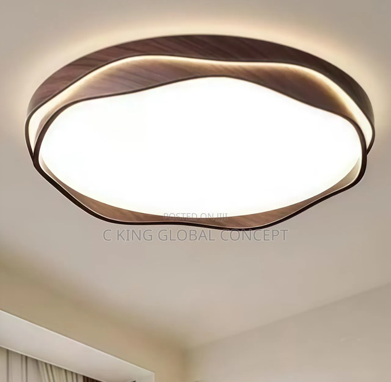 Ceiling Light
