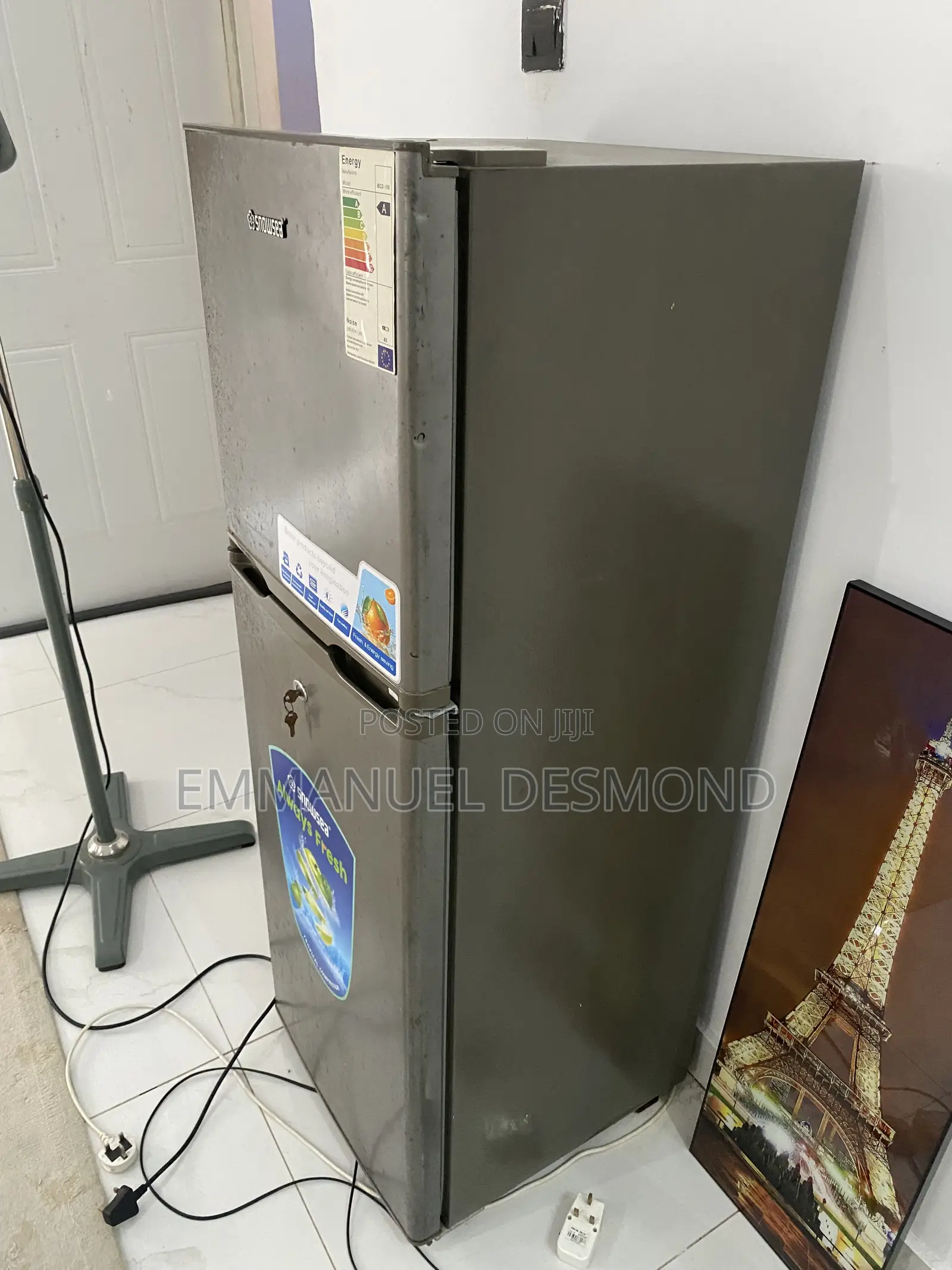 Standing Fridge Working Perfectly