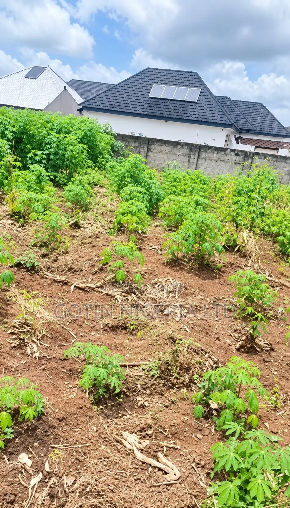 100ft × 100ft Plot of Land for Sale at Amagba