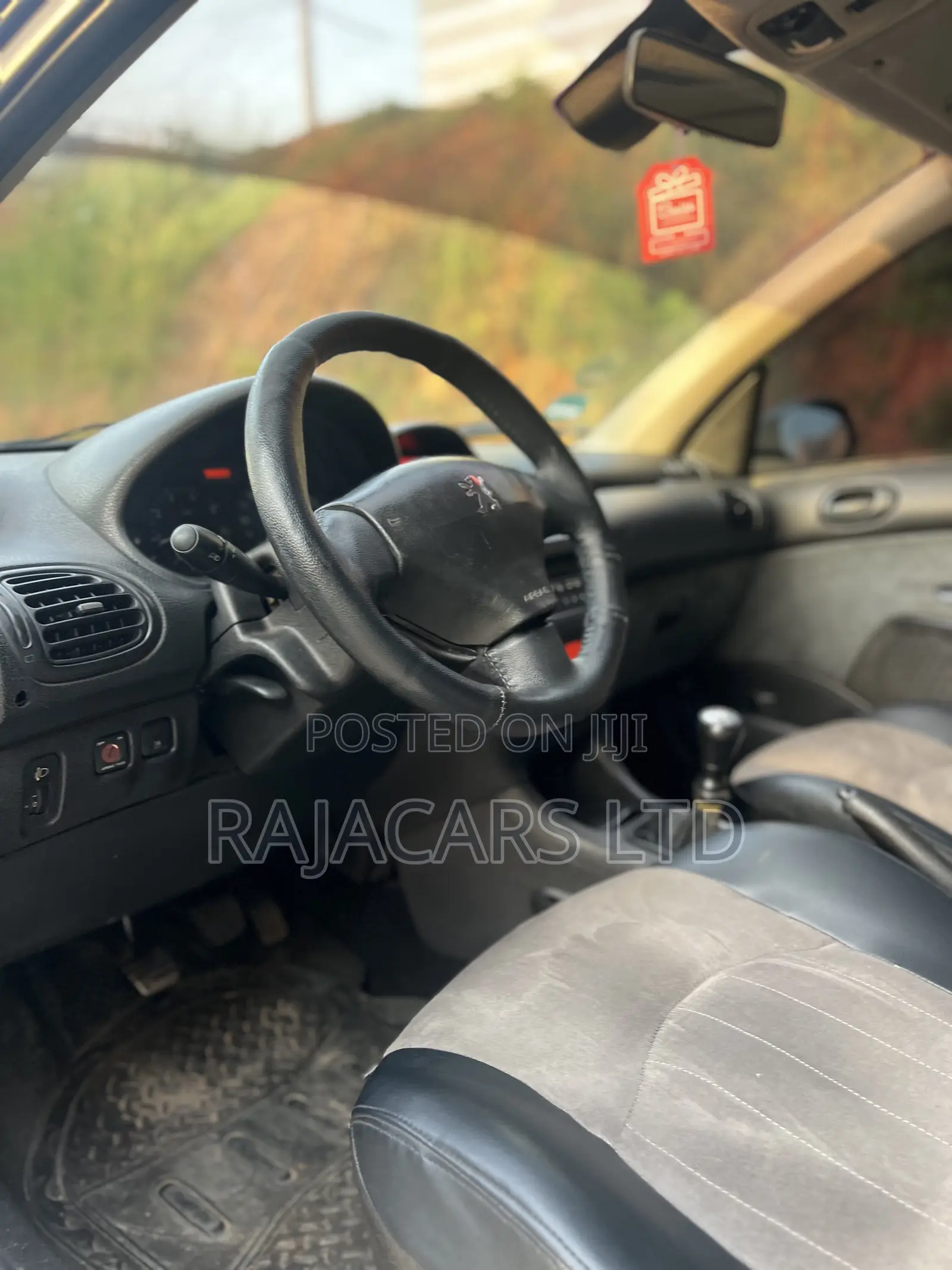 Peugeot 206 SW 2004 Silver