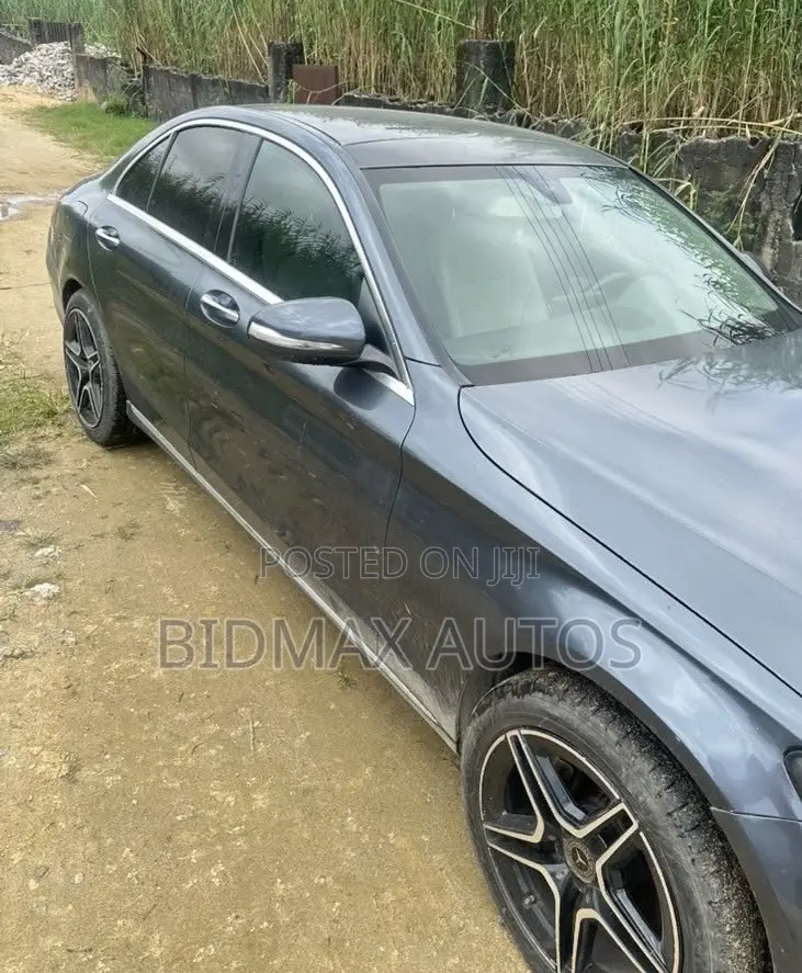 Mercedes-Benz C300 Luxury 4dr AWD 4Matic Sedan (2.0L 4cyl 7A) 2015 Gray