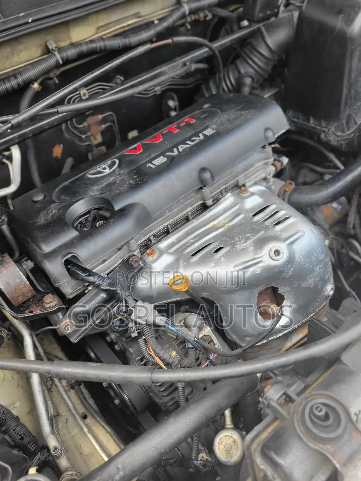 Toyota Highlander 2005 Gold