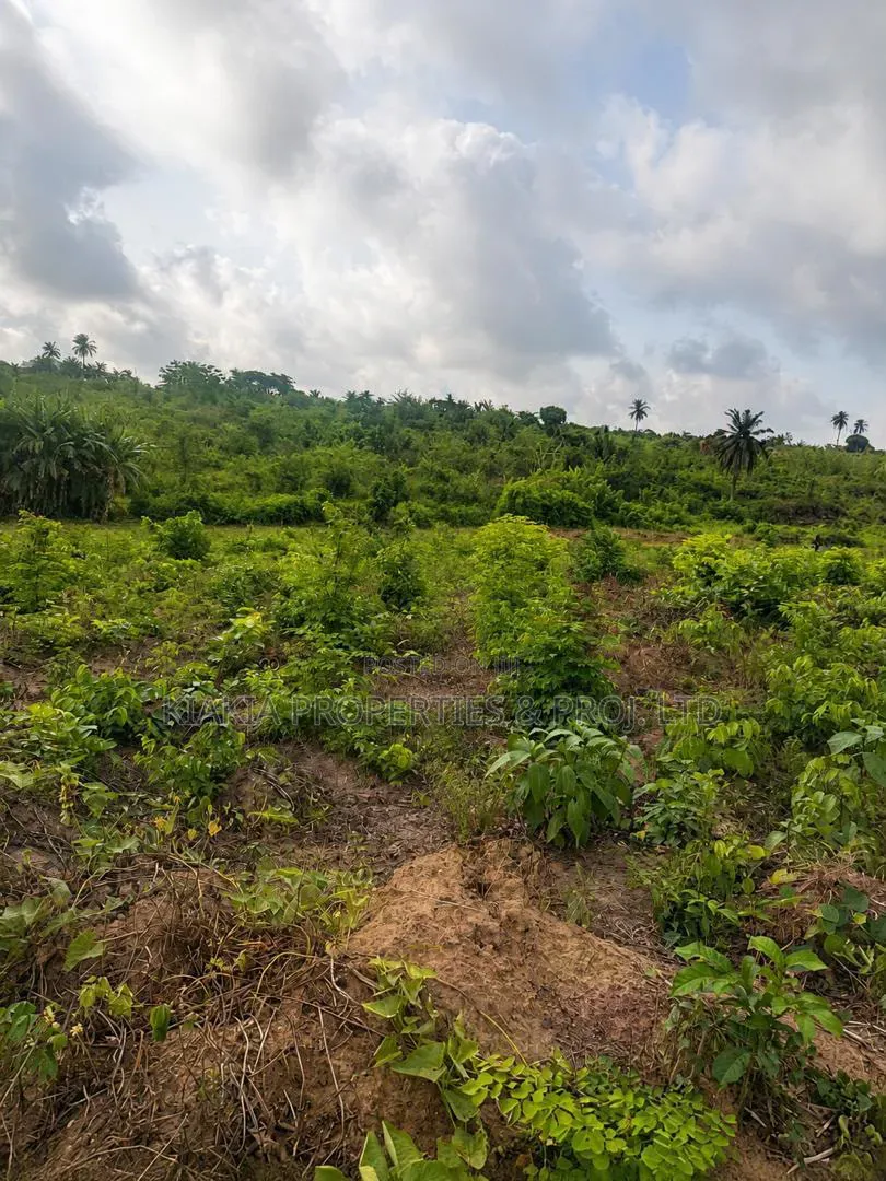 15 Acres Close to KolaDaisi Uni. Akinyele Moniya