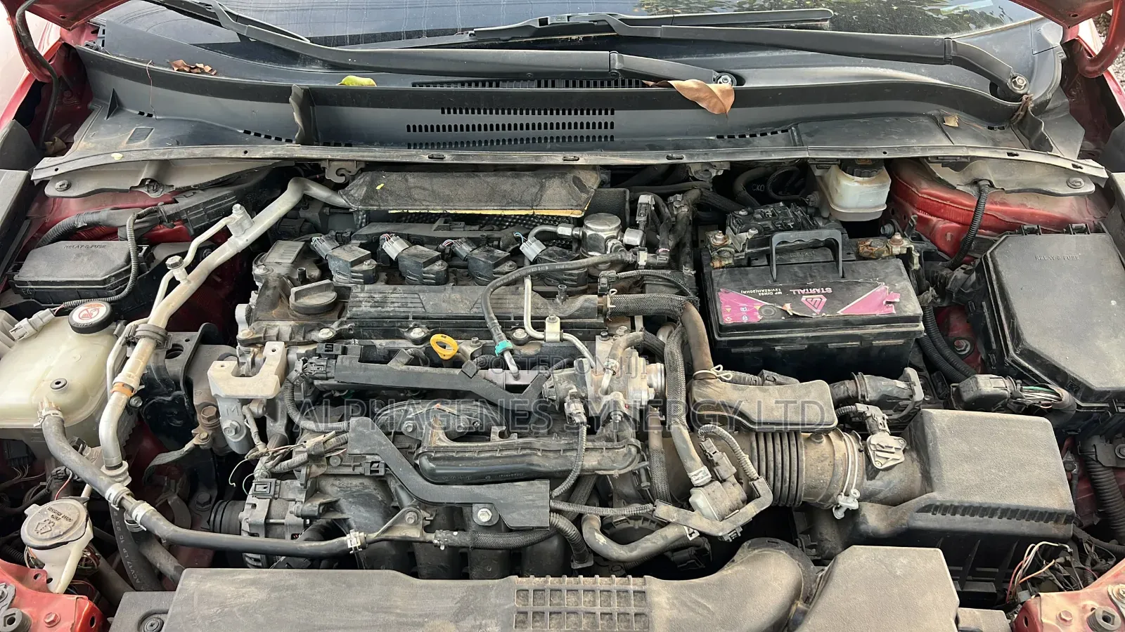 Toyota Corolla XSE (1.8L 4cyl 2A) 2019 Red