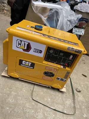 CAT Diesel Generator for Residential Use
