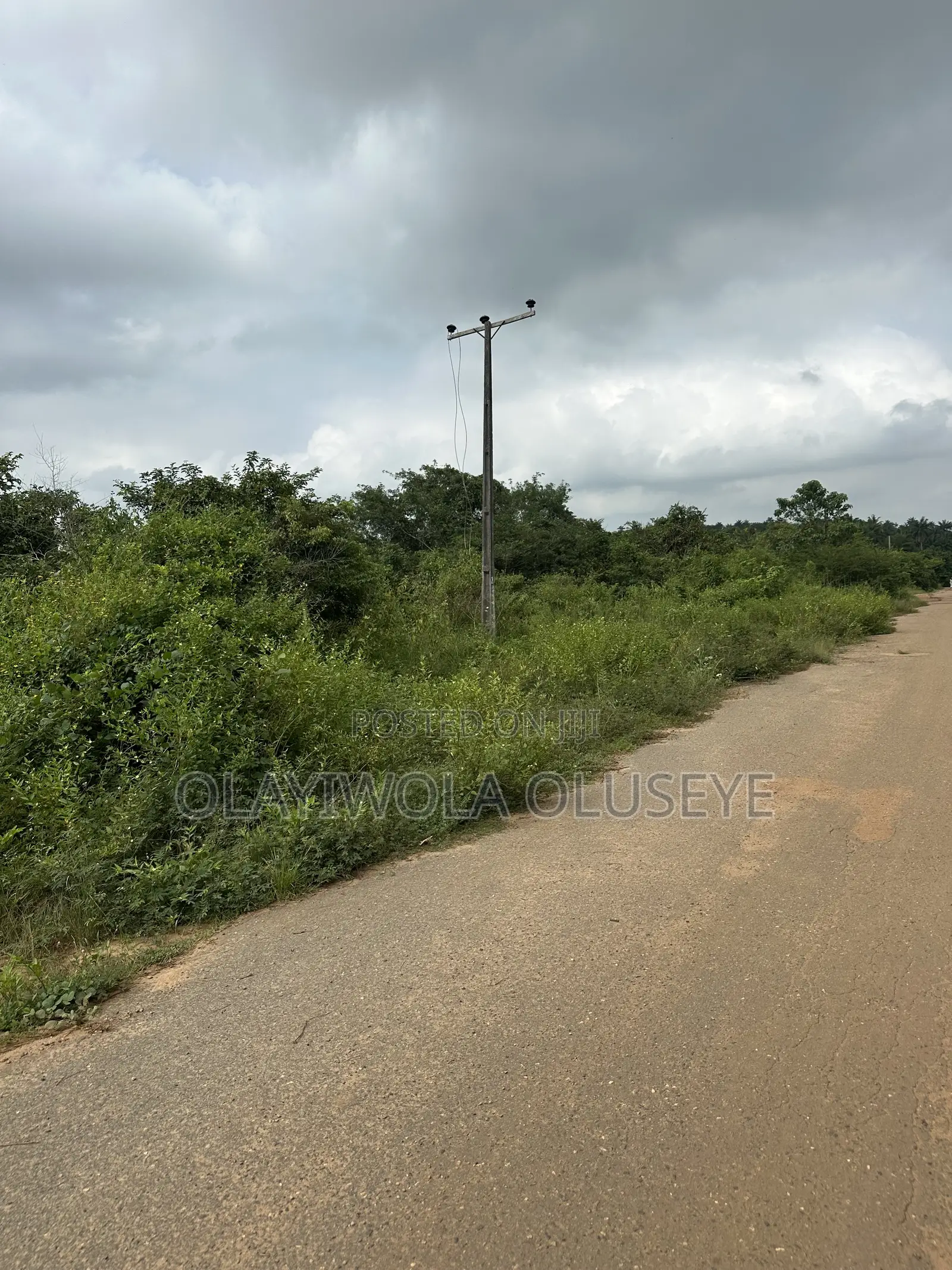 Affordable Land for Farming in Ogun State, Nigeria