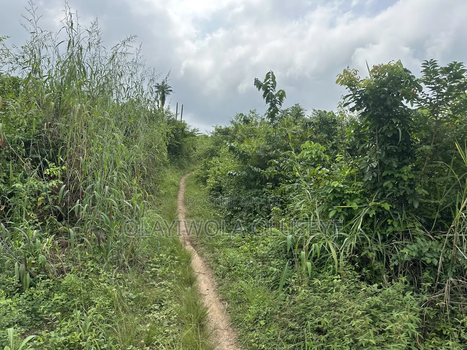 200 Acres of Land Available for Sale