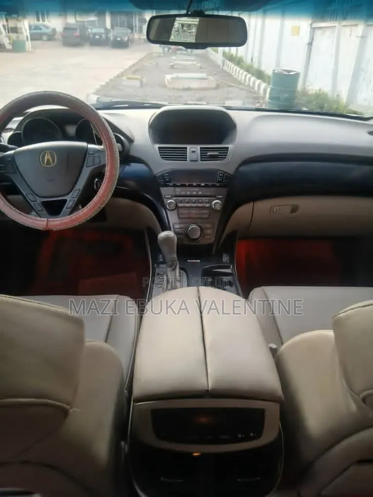 Acura MDX 2010 Silver