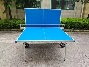 Outdoor Table Tennis Board