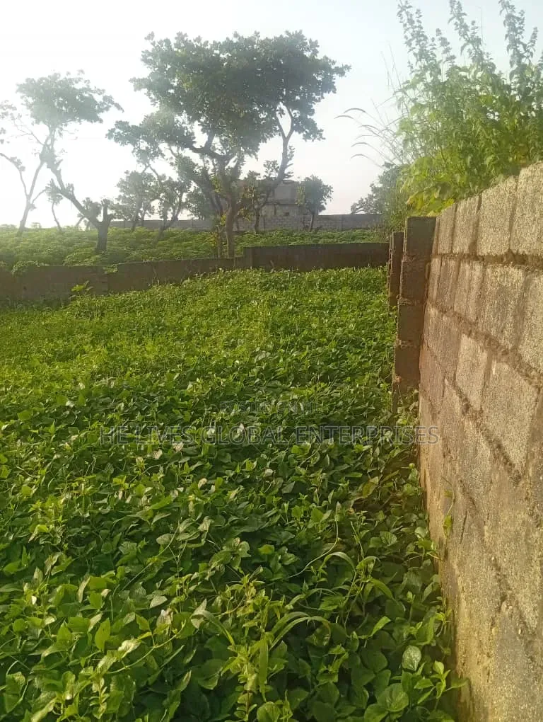 850 Square Meters Land at Chikakwore Kubwa