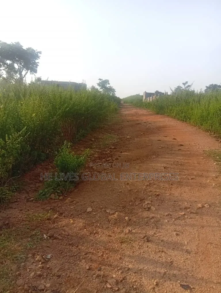850 Square Meters Land at Chikakwore Kubwa
