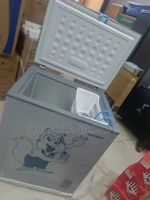Skyrun 180AI Deep Freezer: Keeps Your Meats Farm-Fresh
