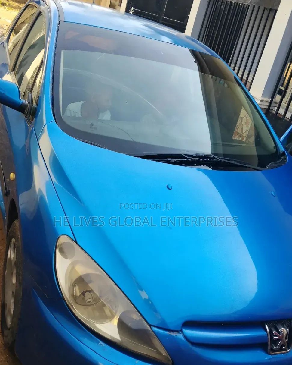 Peugeot 307 2008 Blue