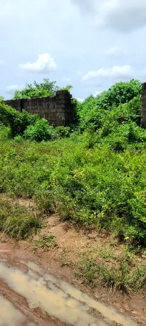 2 Plots of Land for Sale in Umuahia