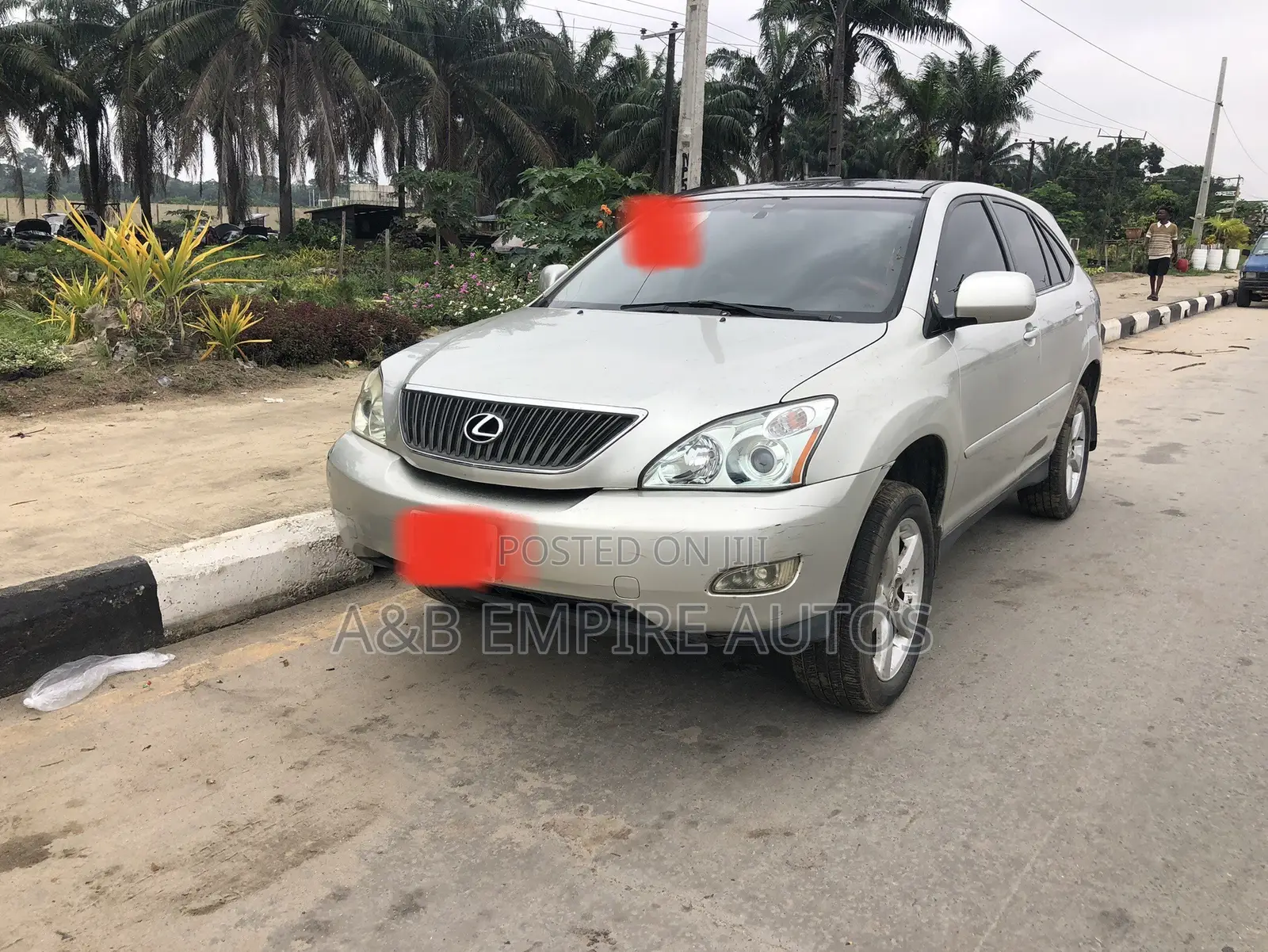 Lexus RX 2024 Gray