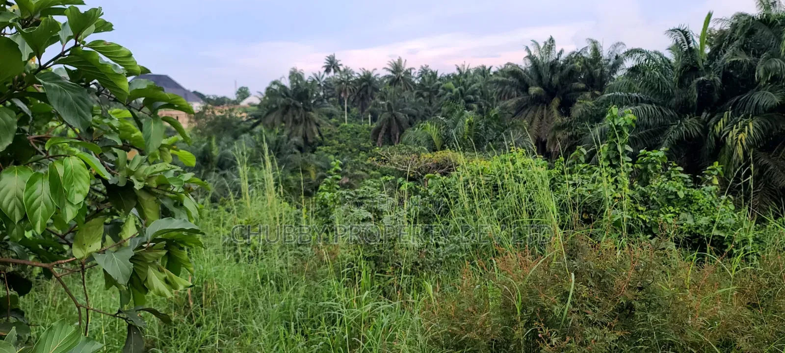 2 and Half Plots of Land in Umuahia