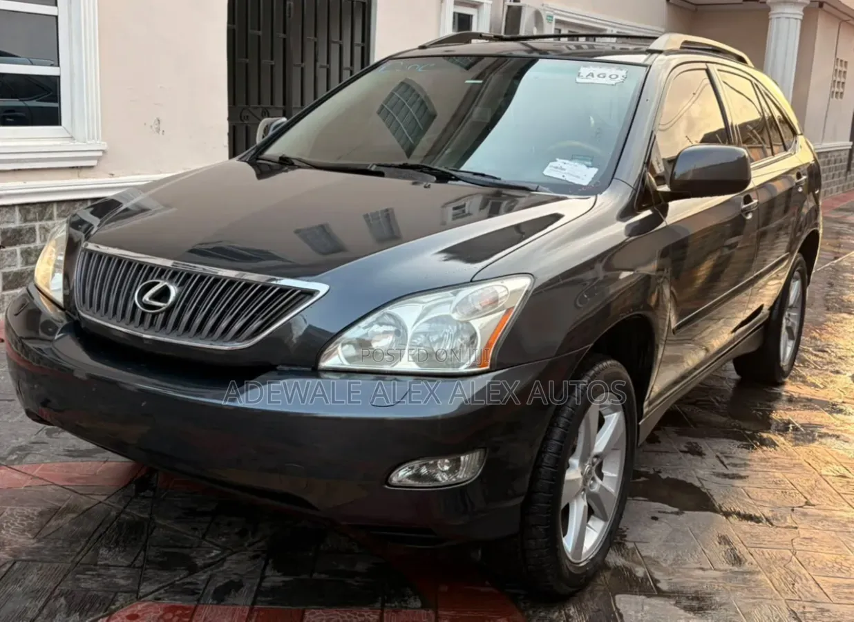 Lexus RX 2007 Gray