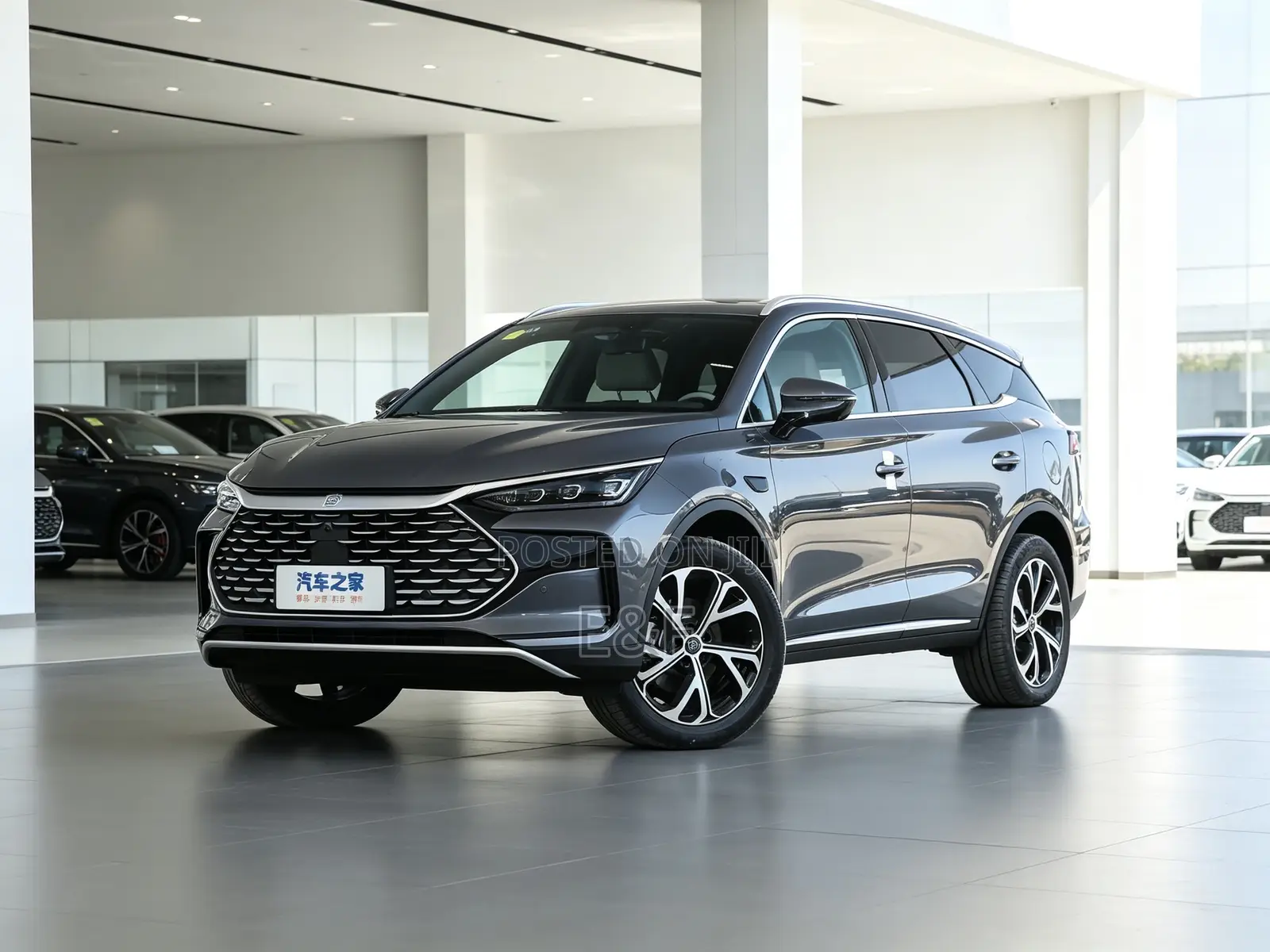 New BYD Tang EV 2025 Gray