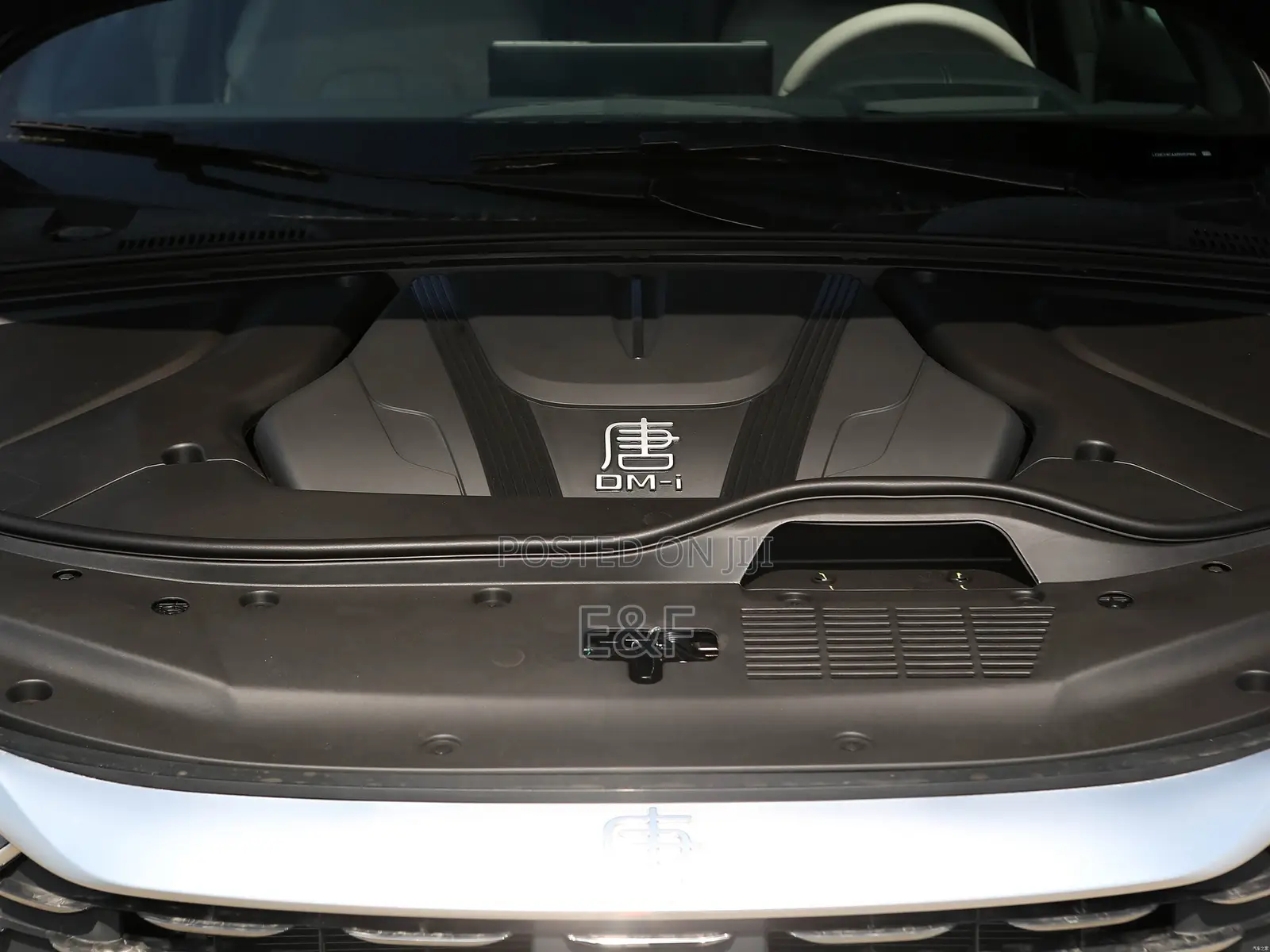New BYD Tang EV 2025 Gray