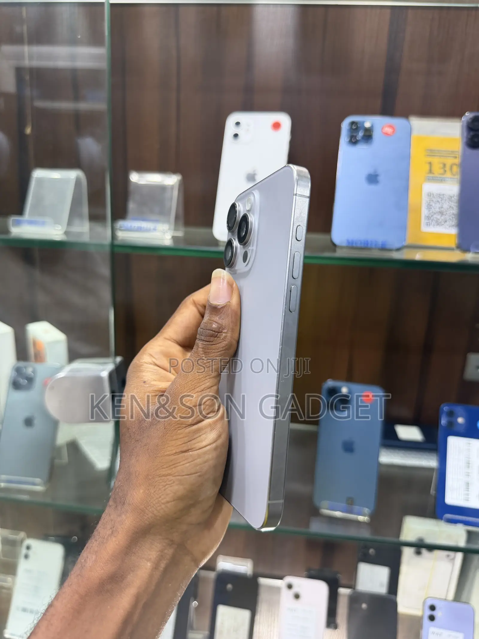 Apple iPhone 15 Pro Max 256 GB Silver