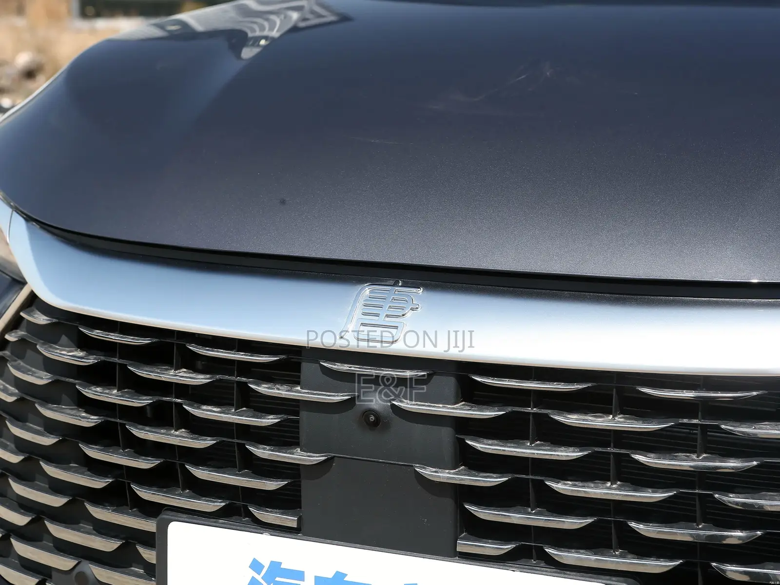 New BYD Tang EV 2025 Gray
