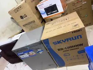 Skyrun BD-100HW Affordable Chest Freezer