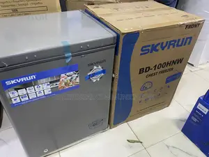 SKYRUN BD-100HNW 100L Freezer for Daily Food Storage
