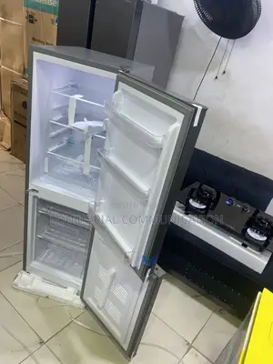 SKYRUN 170L Refrigerator With Lower Freezing Compartment