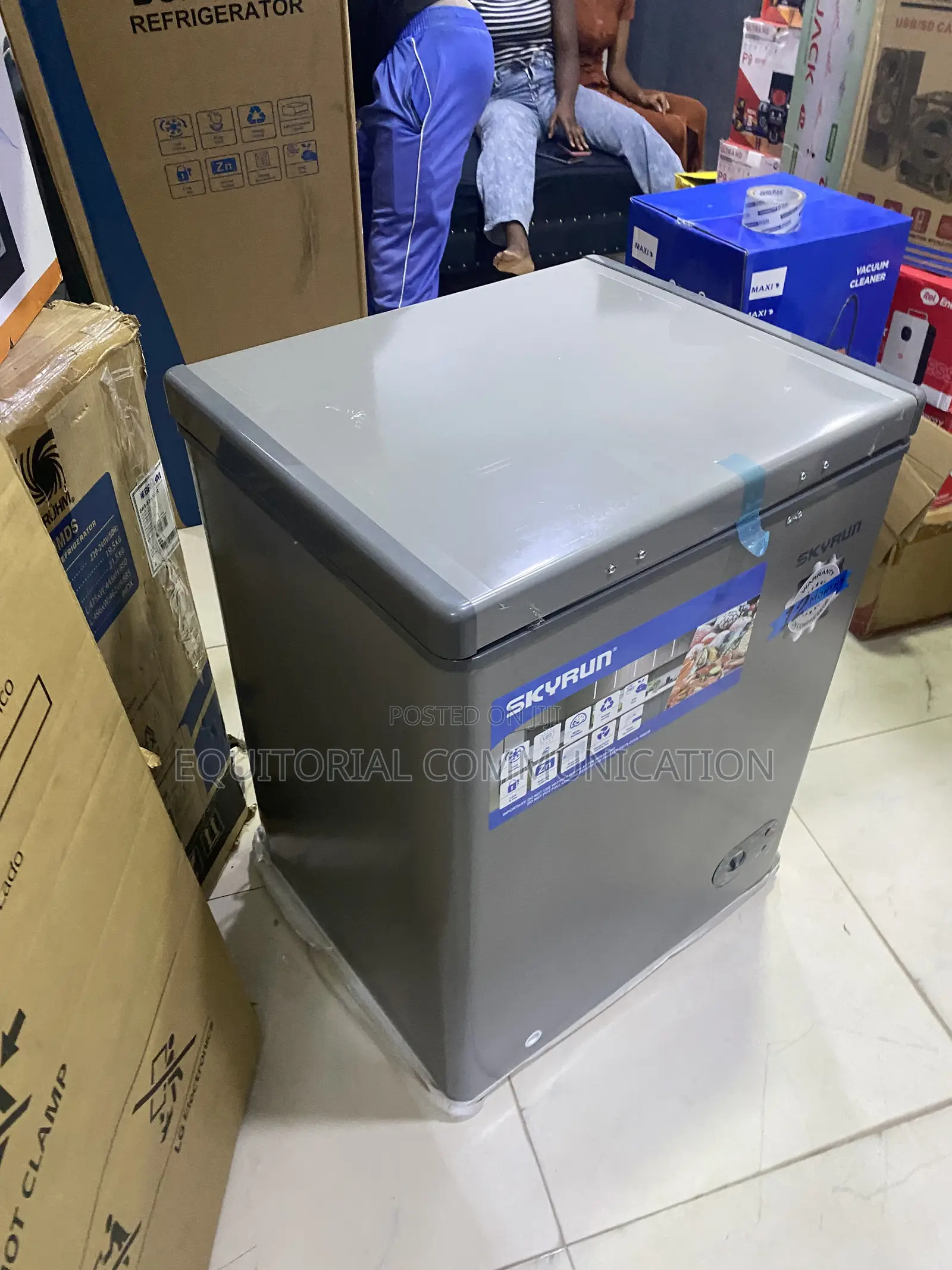 Skyrun 100-Litre Freezer for Household Food Preservation