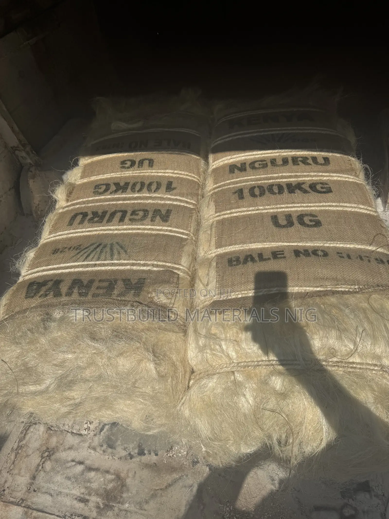 Nguru Kenya Fillas