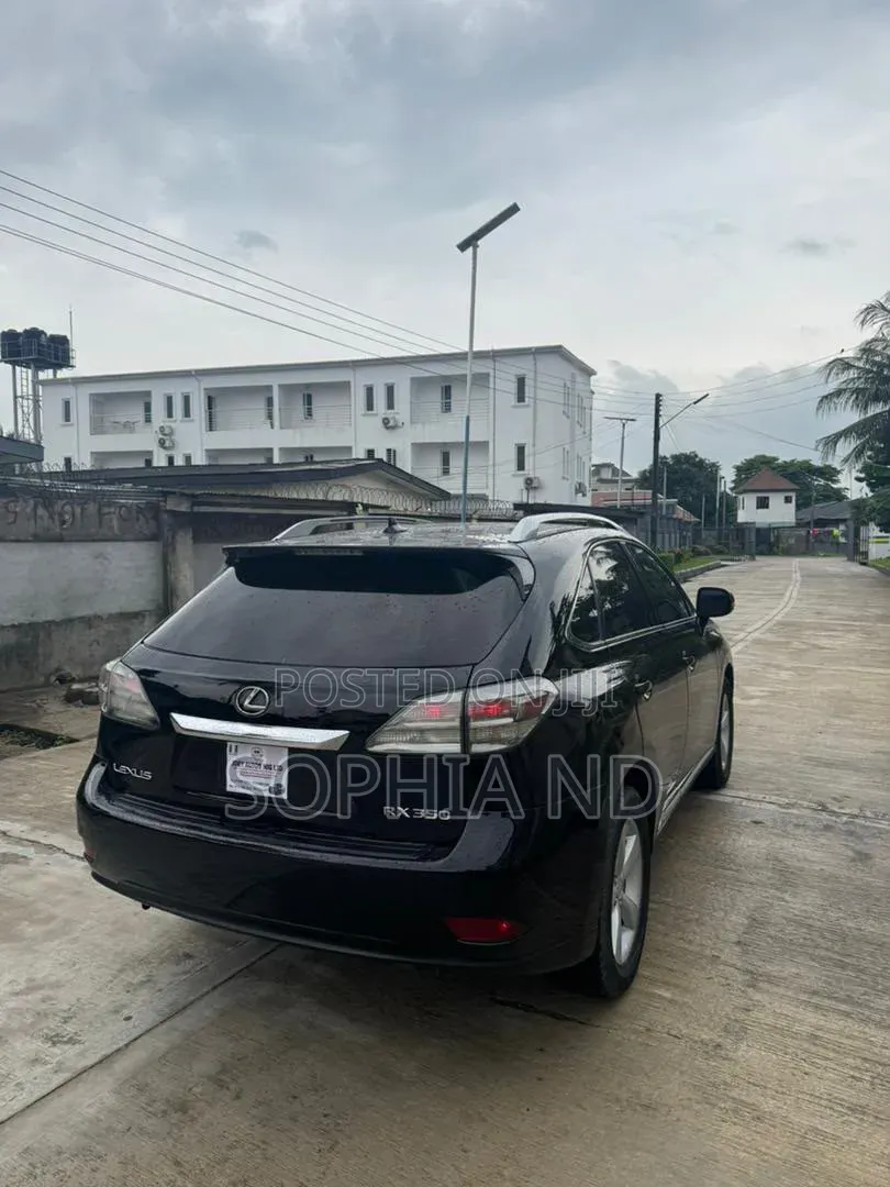 Lexus RX 2010 Black