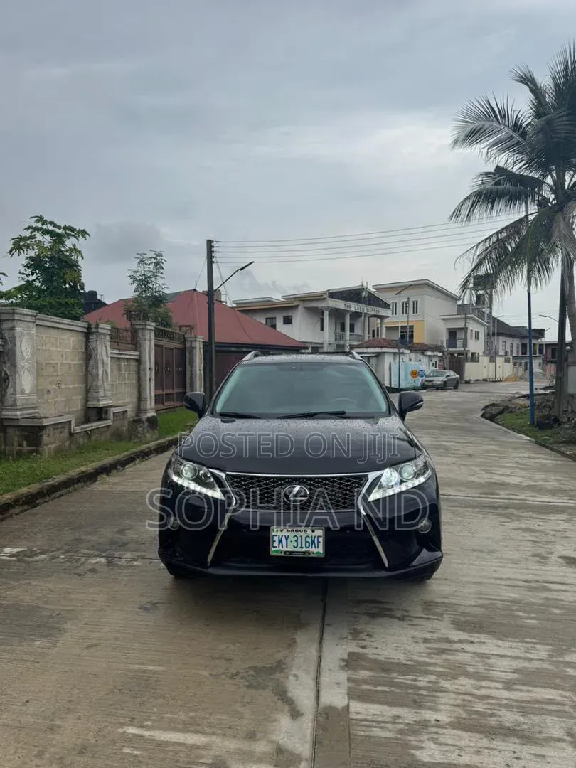 Lexus RX 2010 Black