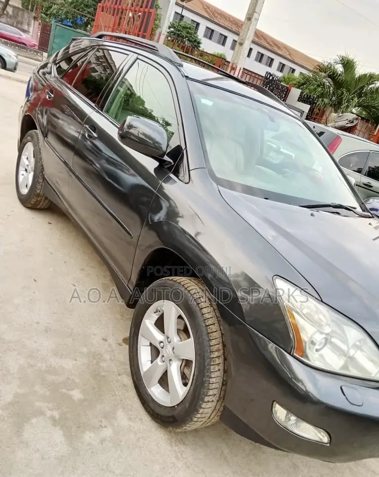 Lexus RX 2007 Gray