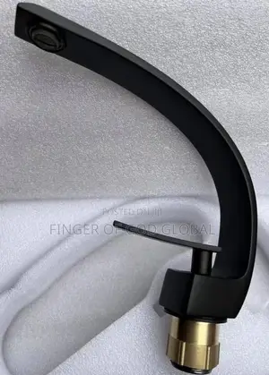Executive Black Mixer Tap