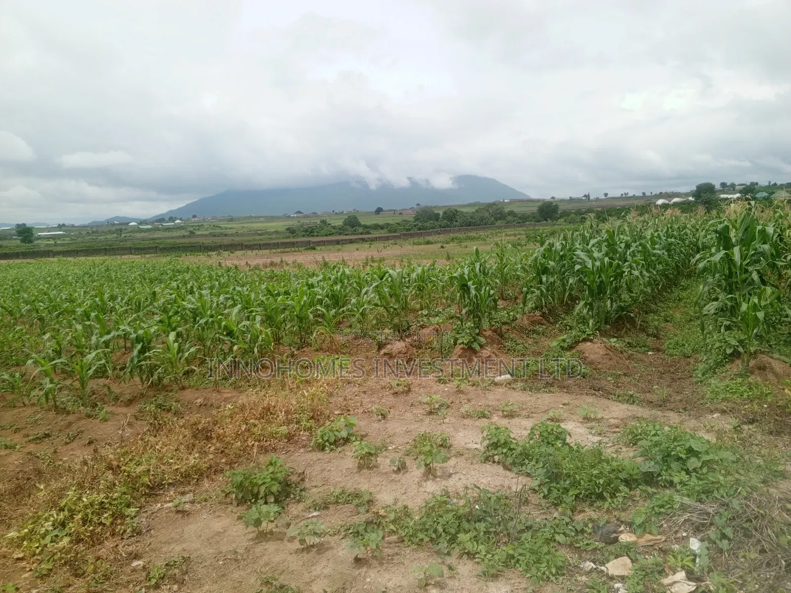 3.47 Hectares at Apo-Tafyi