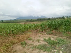 3.47 Hectares at Apo-Tafyi