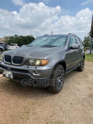 BMW X5 2004 Gray